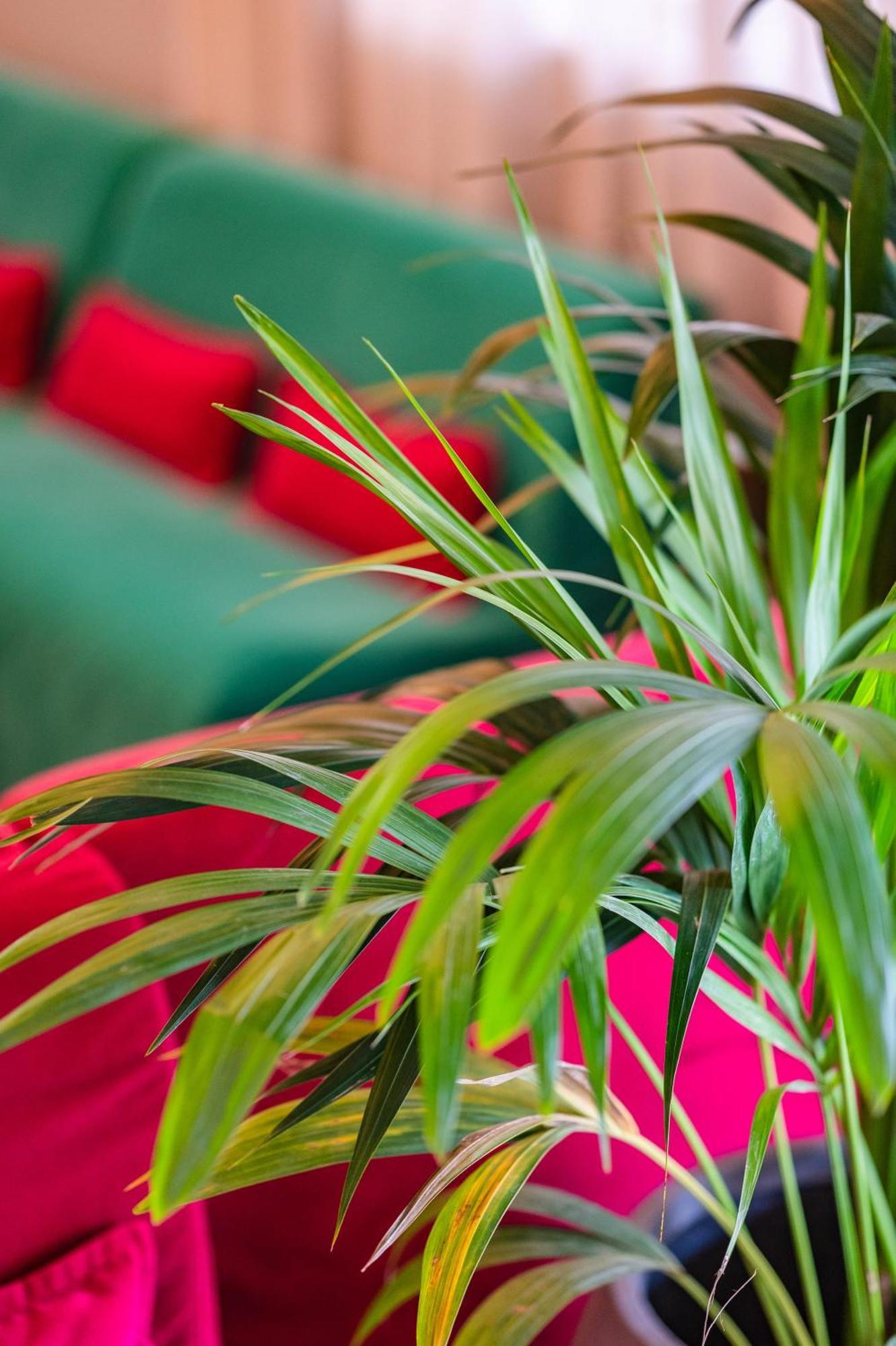 Gritti Hotel Lido di Jesolo