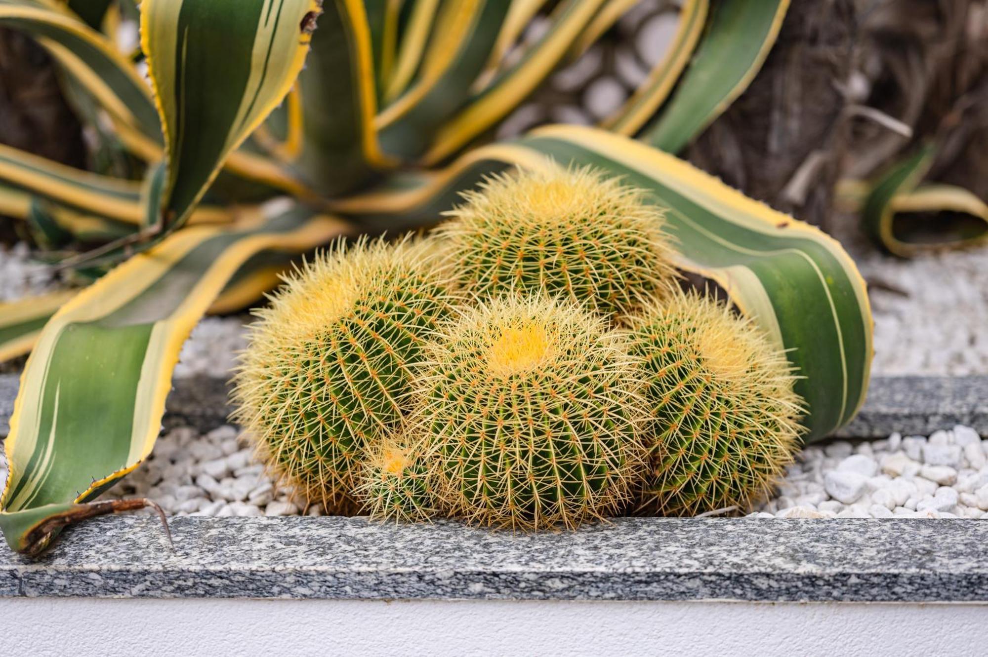 Gritti Lido di Jesolo